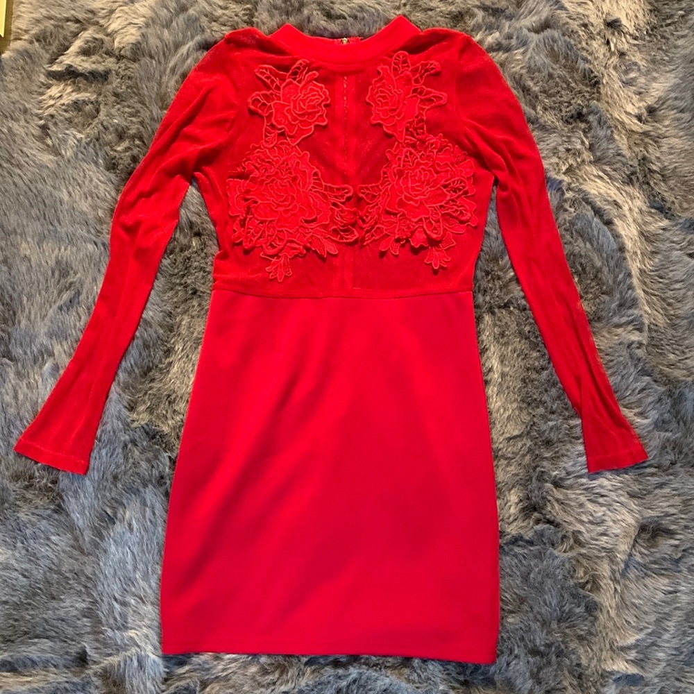 Red midi, long sleeve dress, mesh flower top